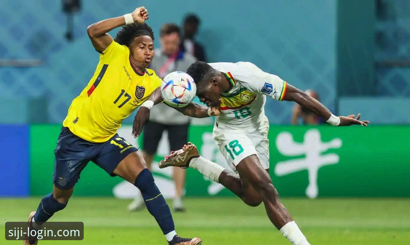 民主刚果绝杀晋级世界杯最新动态：52年等待终结，K组挑战开启